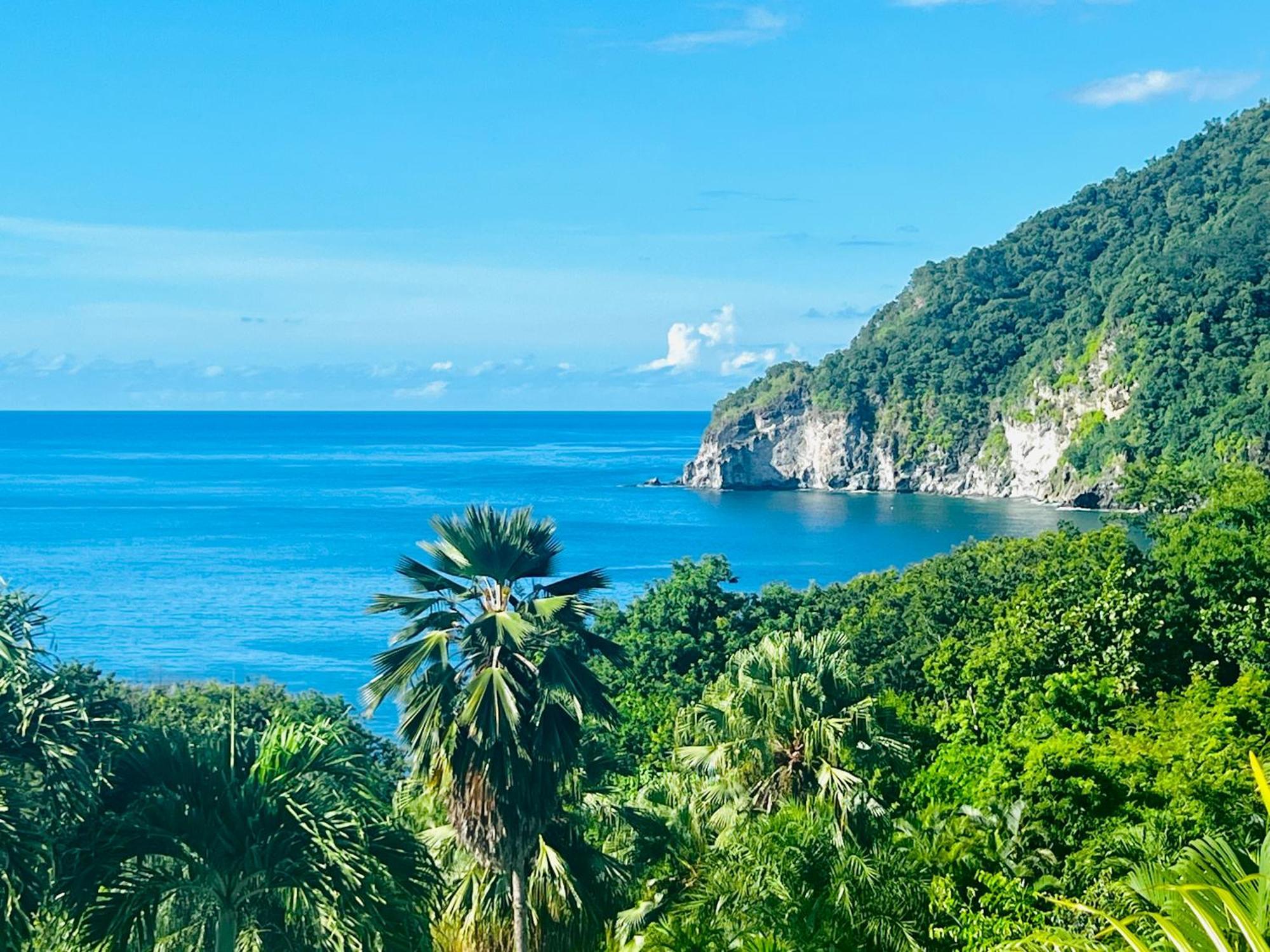 Vue Mer/3Beds/Piscine/Wifi/900 Metres De La Plage Deshaies Exterior foto